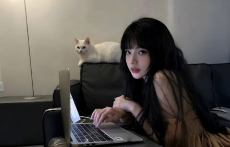 折纸茶寮海报
